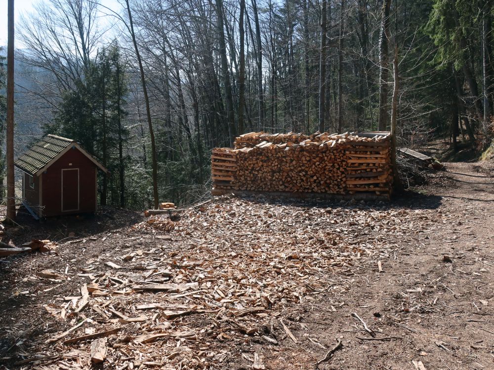Hütte und Holzstaprl
