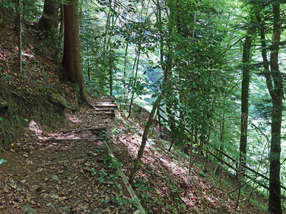 Abstieg zum Spreitenbach