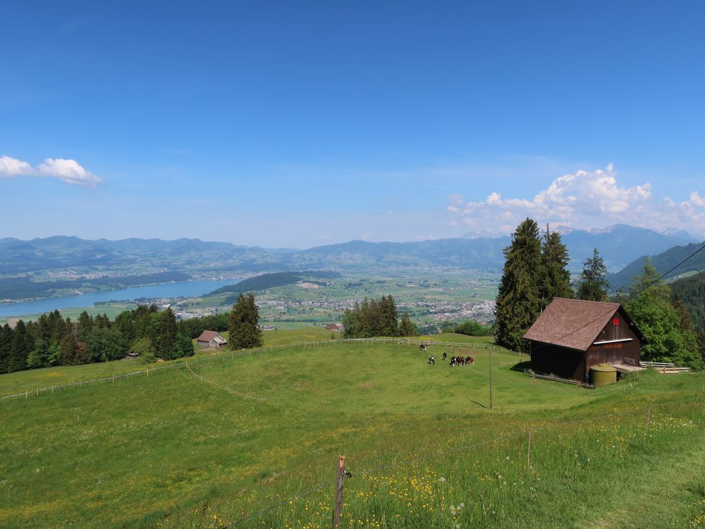 Zürichsee, Toggenburg und Säntis