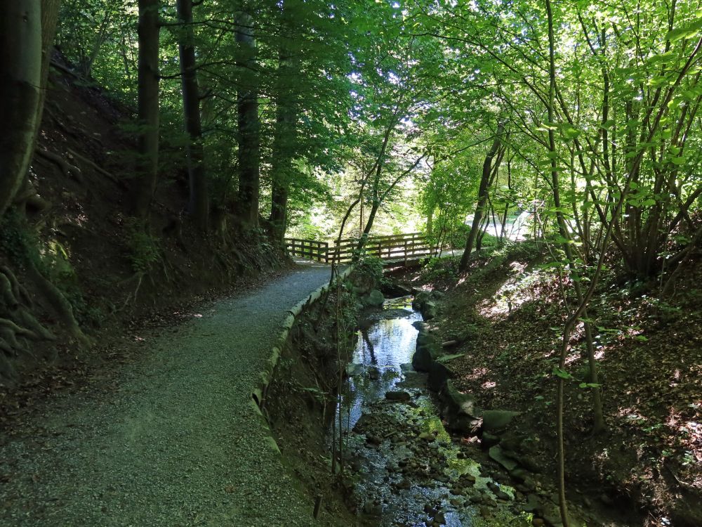 Wanderweg am Haslenbach