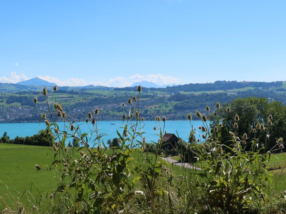 Zürichsee mit Rigi und Pilatus
