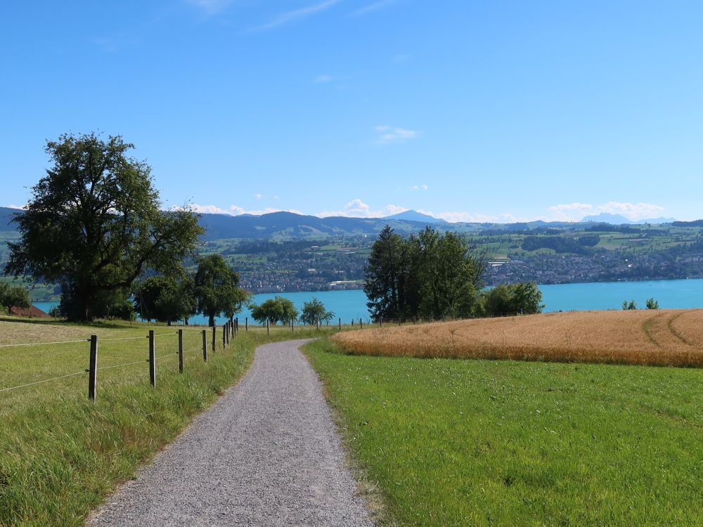 Blick zum Zürichsee mit Rigi und Pilatus