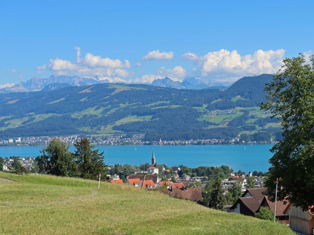 Stäfa am Zürichsee und Glarneralpen
