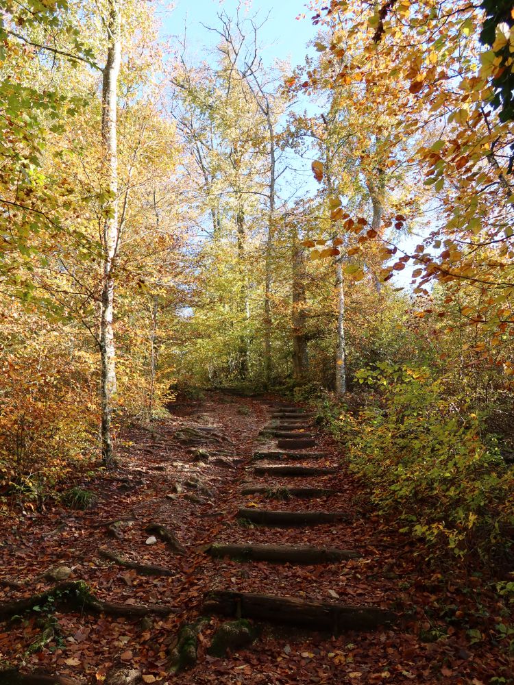 Treppe im Herbstwald