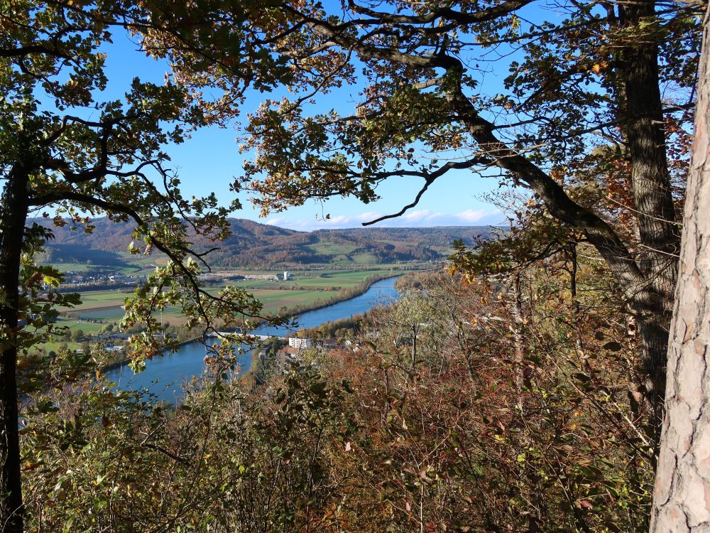 Panorama Thalheim