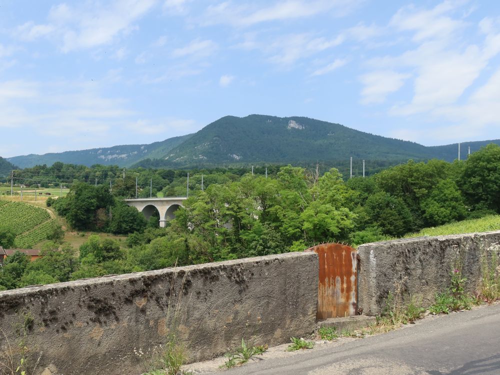 Eisenbahnbrücke und Berge des Jura