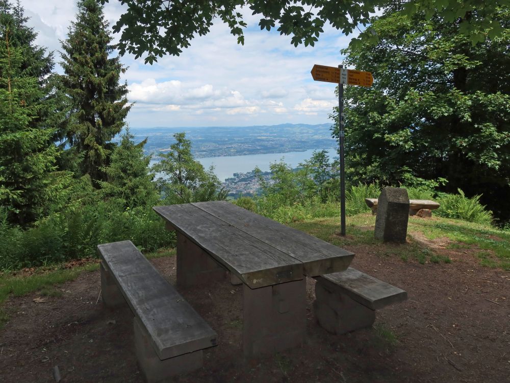 Sitzgruppe mit Blick auf Zürichsee auf dem Wildspitz