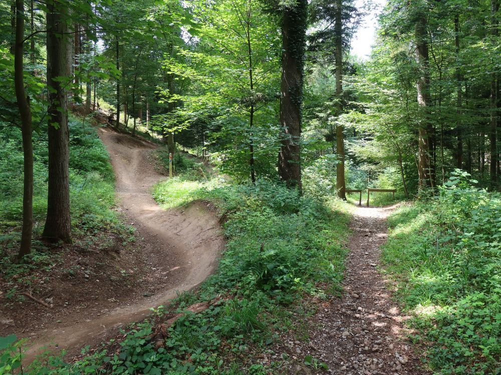 Bike-Trail und Wanderweg