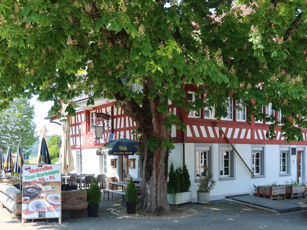 Landhaus in Bichelsee