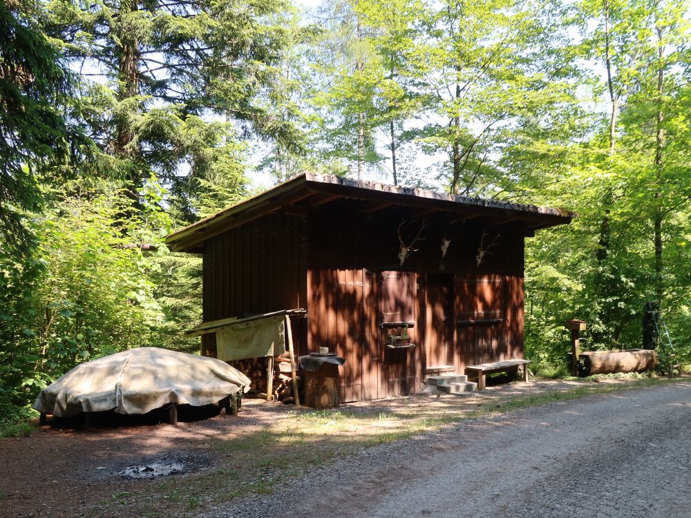 Hütte im Bürgleholz