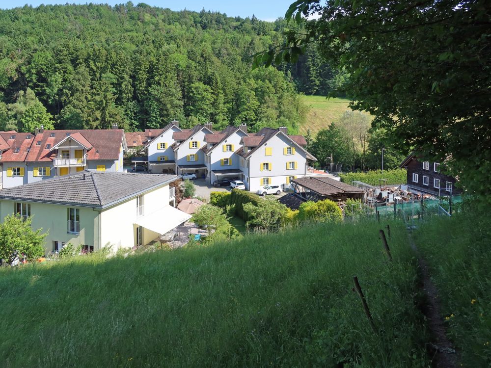 Häuser von Dussnang