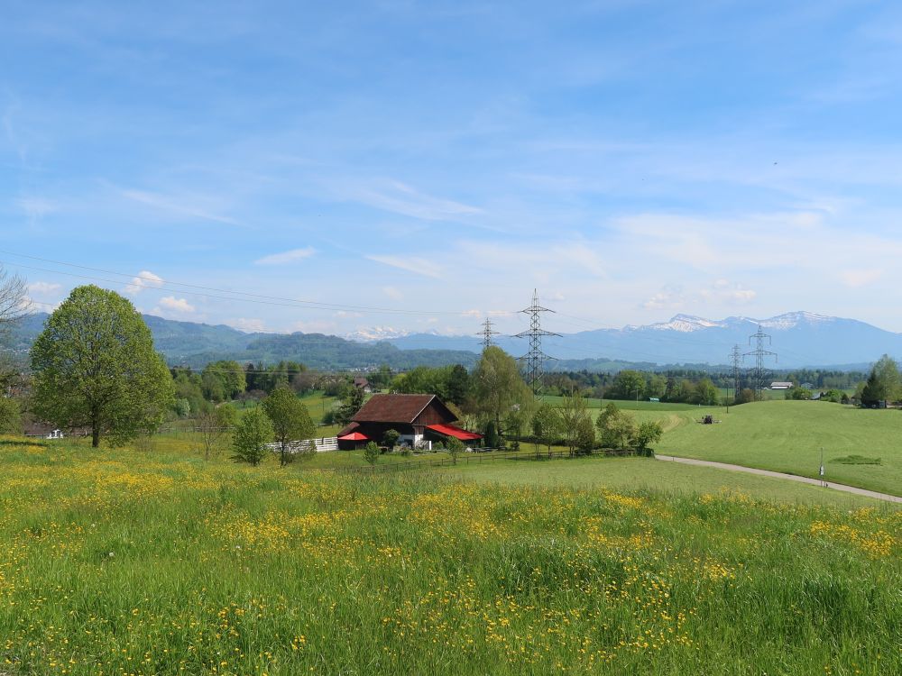 Sunnenhof und Appenzeller Alpen