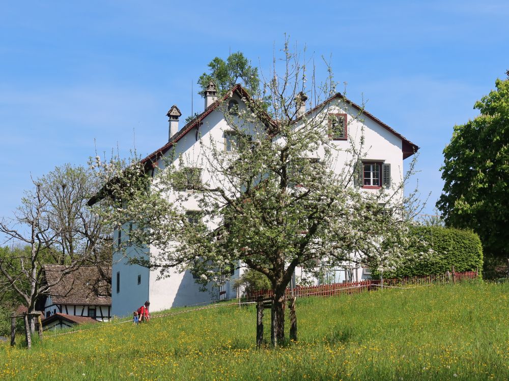 Häuser von Lützelsee