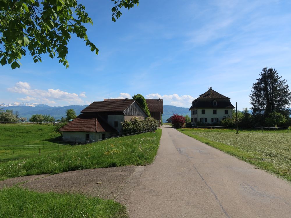 Bauernhof Lüeholz