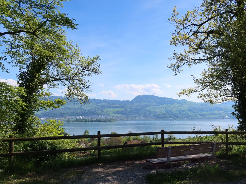 Blick vom Trüllisberg auf den Zürichsee