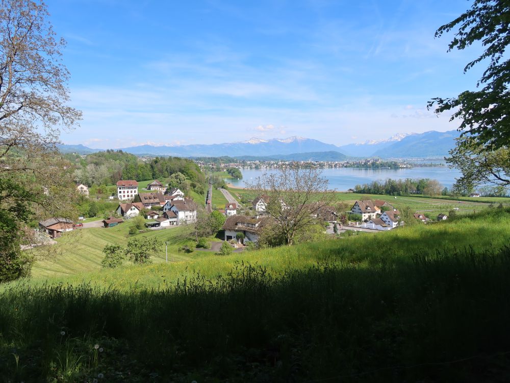 Blick auf Feldbach, Rapperswil und Zürichsee
