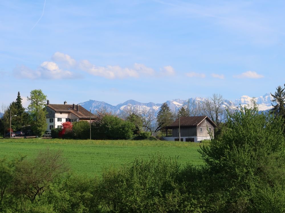 Häuser bei Eggrüti mit Alpen