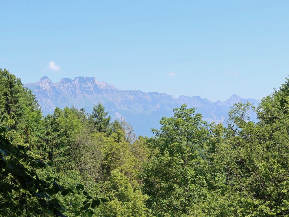 Blick zu den Bergen des Alpstein