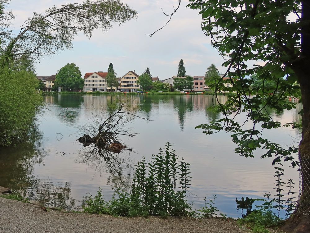 Werdenbergersee