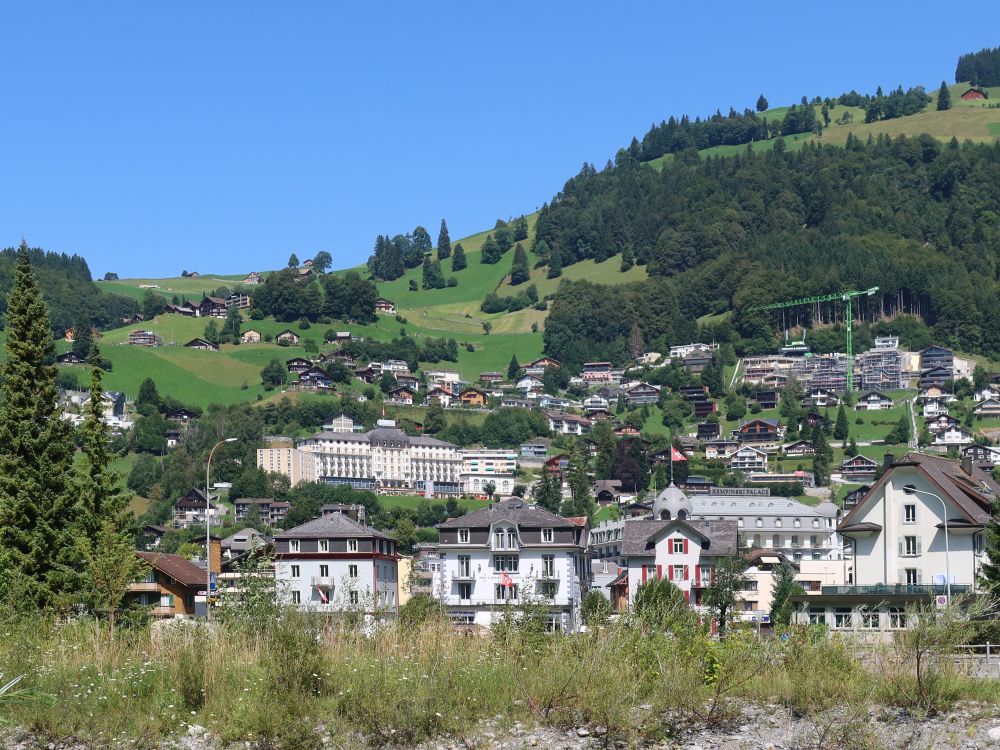 Häuser und Hotels in Engelberg