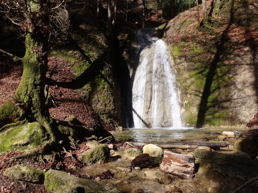 Wasserfall im Giblertobel