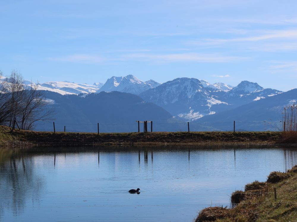 Teich mit Alpensicht