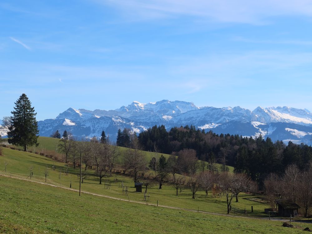 Glarner Alpen