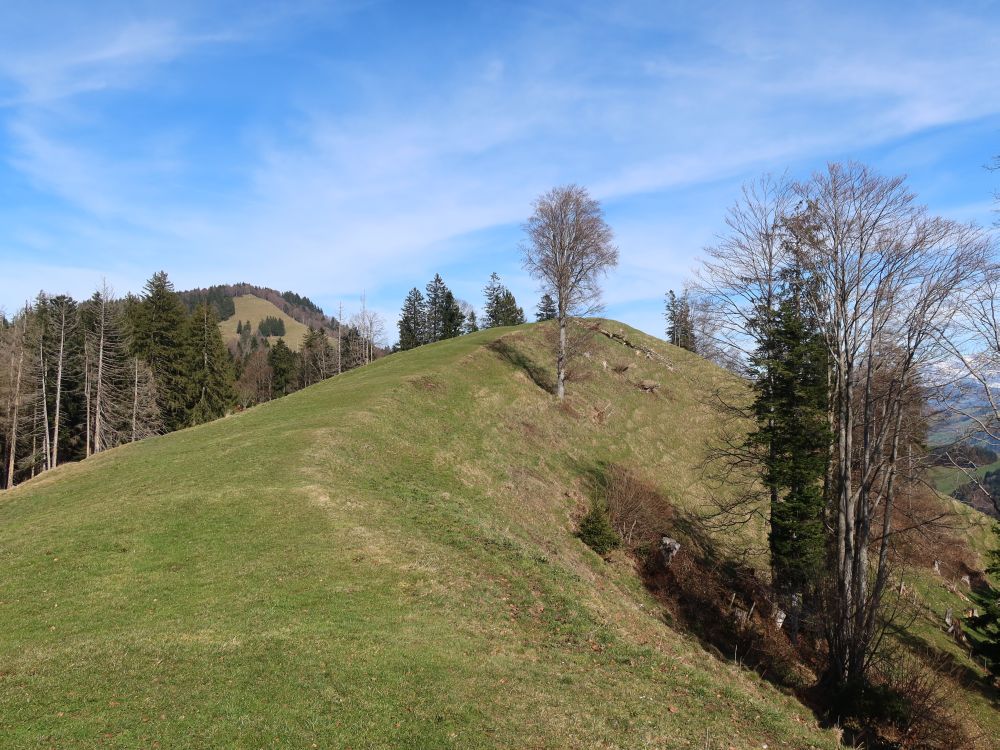Bergkamm am Köbelberg