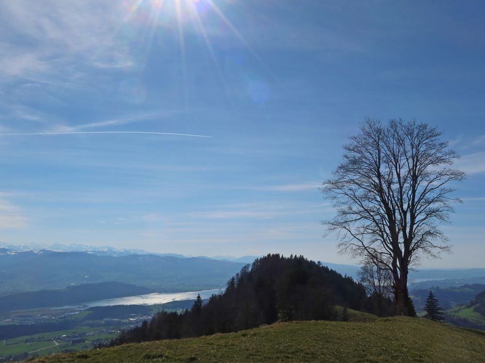 Köbelberg und Zürichsee