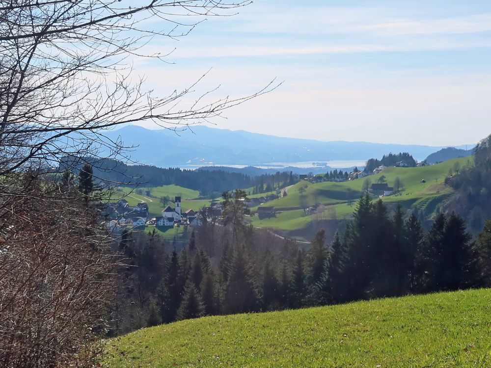 Goldingen und Zürichsee