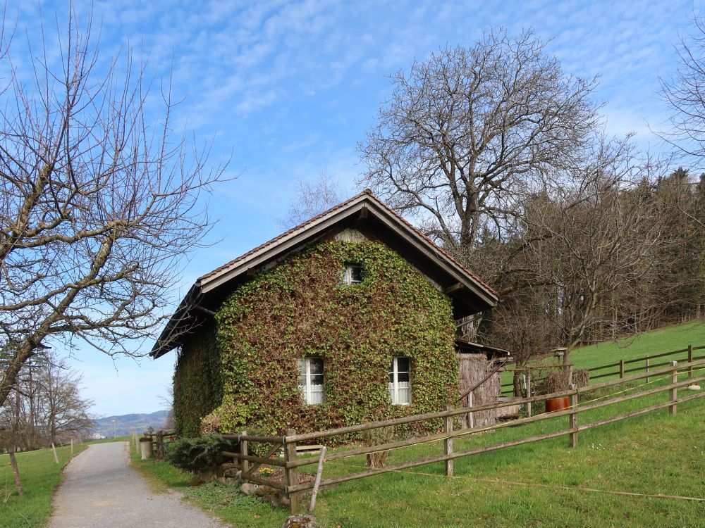 Häuschen mit Blätterfassade