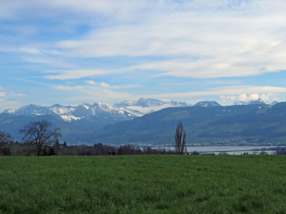 Glarner Alpen und Zürichsee