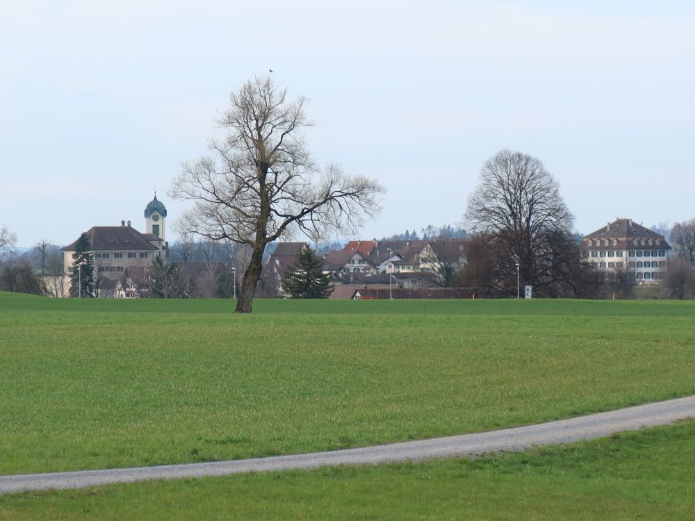 Schloss und Stedtli