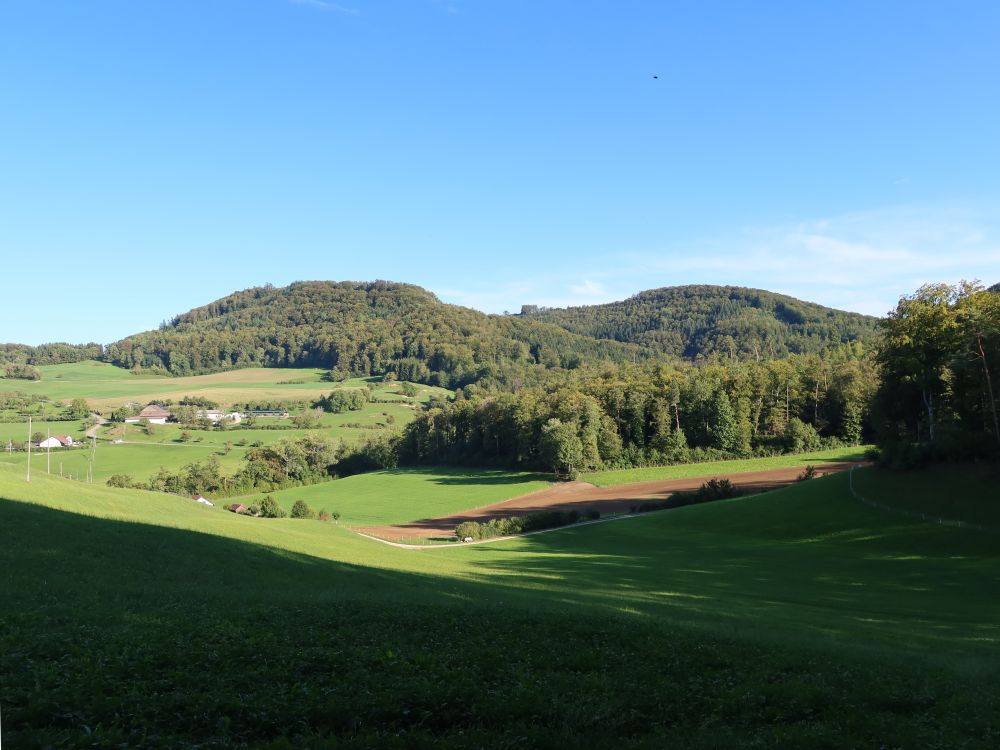Blick von Eichwald Richtung Linnerberg