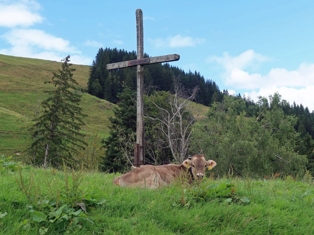 Kuh unterm Kreuz bei Nägeliberg