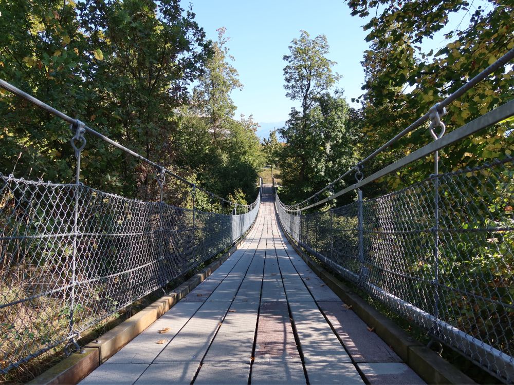 Hängeseilbrücke Beugenbachfall