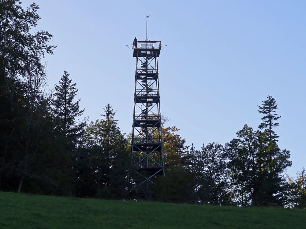 Aussichtsturm Pfannenstiel (Alter Bachtelturm)