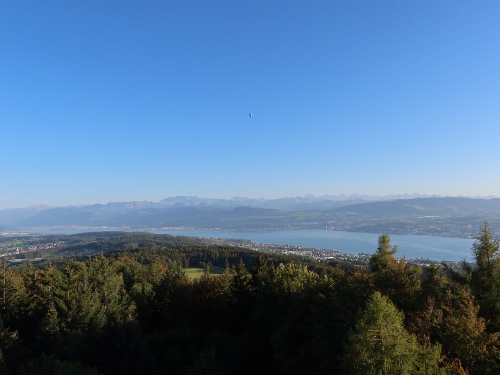 Zürichsee und Glarner Berge