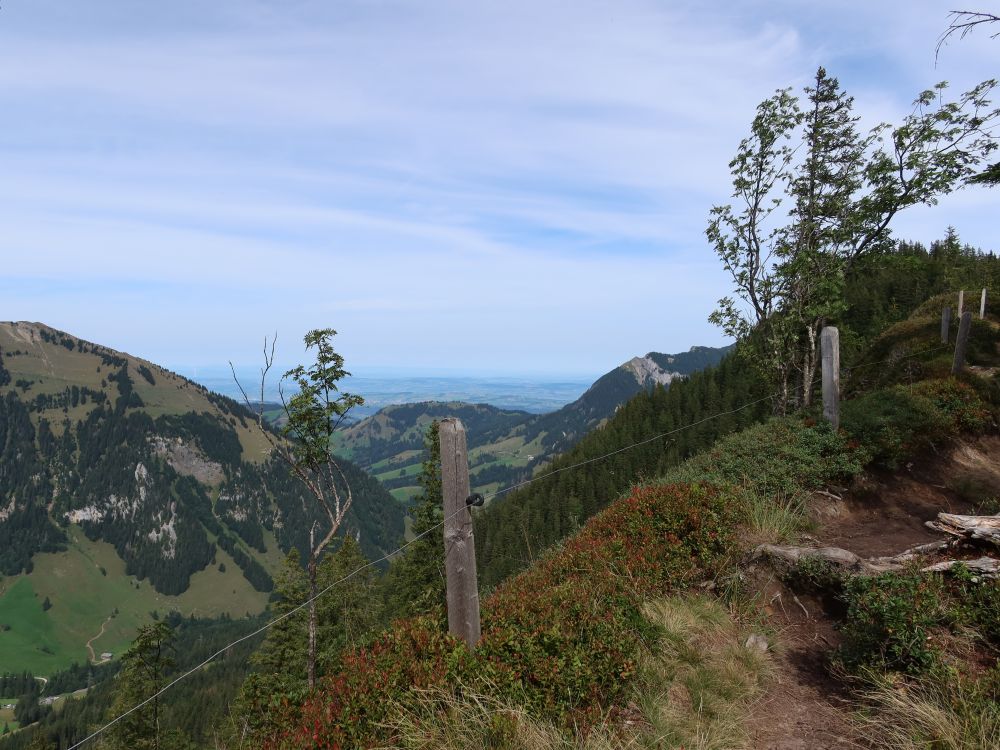 Blick zum Alpiliegg zwischen Schimbrig und Risetestock