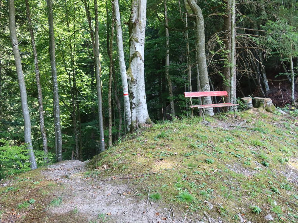 Sitzbank am Waldpfad