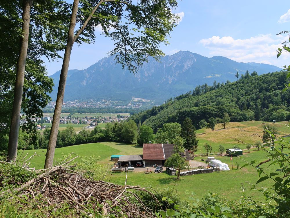 Bauernhof bei Flat und Liechtensteiner Berge
