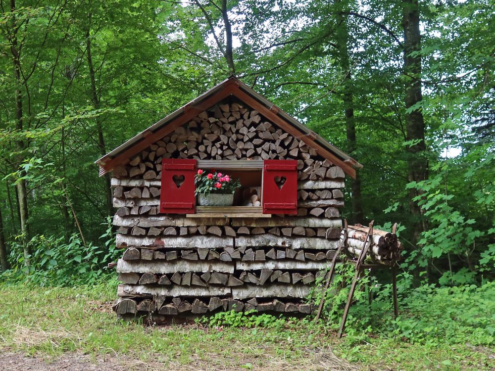 Brennholzstapel als Hütte getarnt