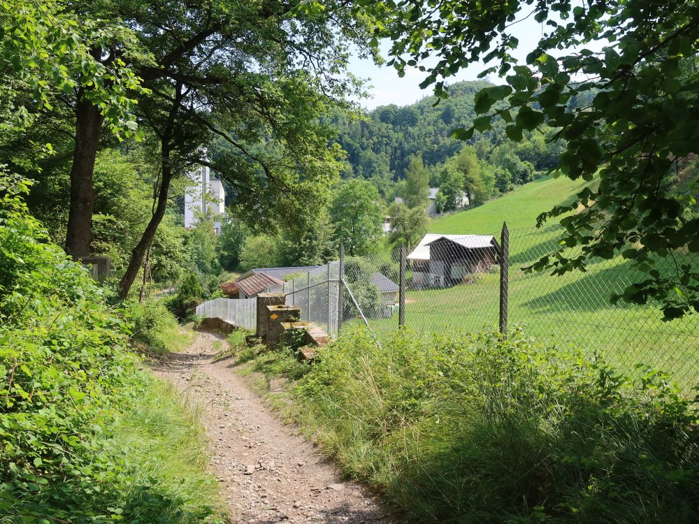 Schenkenalpweg oberhalb Altendorf