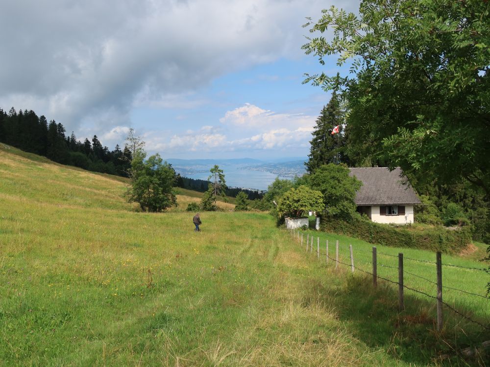 Hütte und Zürichsee