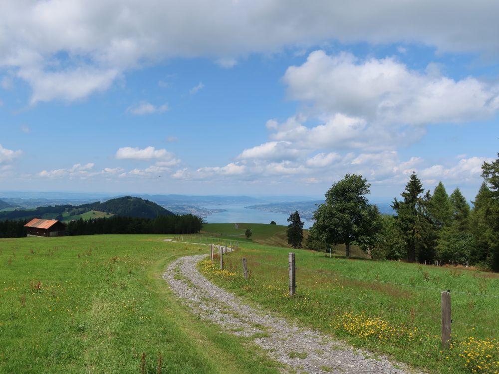 Etzel und Zürichsee