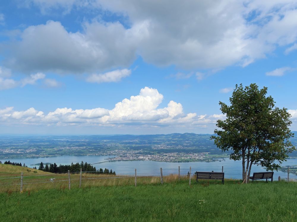 Sitzbänke mit Blick auf den Zürichsee
