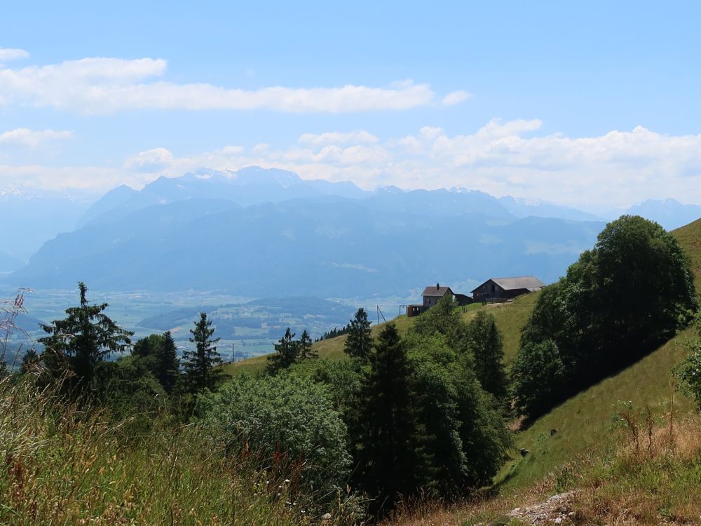 Blick auf Glarner Alpen
