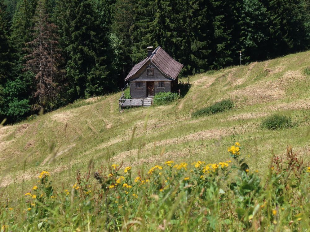 kleine Hütte am Waldrand bei Grossrotstein