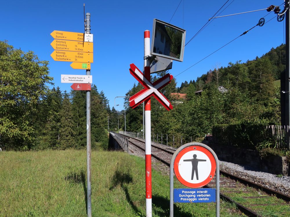 Wanderwegweiser und Gleise bei Neuthal