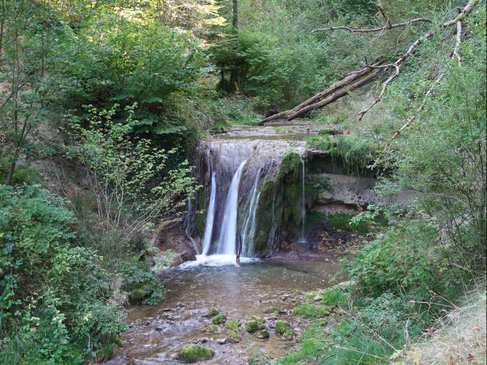 Wissenbach-Wasserfall I